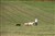 201108 005.jpg
