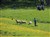 DSCN0266.JPG